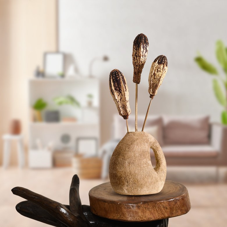 Mehogoni fruit with Stick